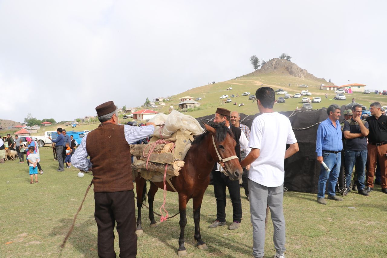 گزارش تصویری | جشنواره فرهنگی و آیین کوچ عشایر تالش