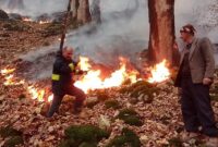 گزارش تصویری | مهار آتش سوزی در جنگل های تالش