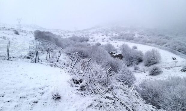 بارش نخستین برف زمستانی در برخی مناطق کوهستانی گیلان