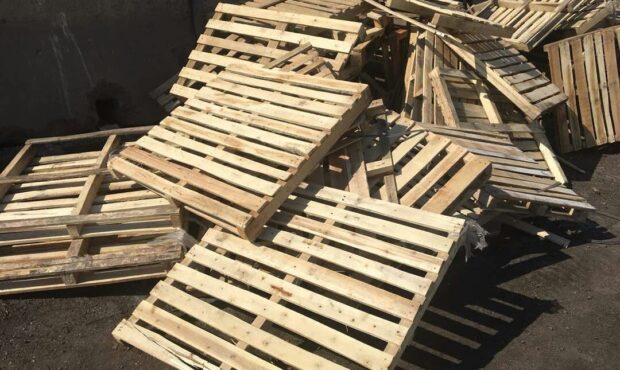 عدم استفاده از پالت چوبی در صنایع نفت و پتروشیمی معاش ۶۰ هزار نفر در شمال کشور را تهدید می کند