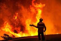 فیلم | تلاش نیروهای امدادی و مردمی تالش جهت خاموش کردن آتش سوزی جنگل های منطقه هره دشت لیسار