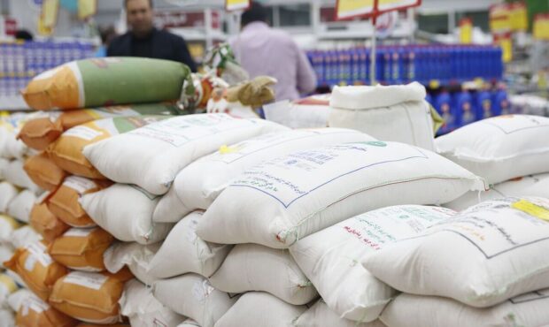 آغاز خرید برنج های باقی مانده در انبار‌های کشاورزان