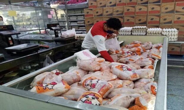 بازدیدهای میدانی مقابله با گرانفروشی در بازار مرغ تشدید می‌شود