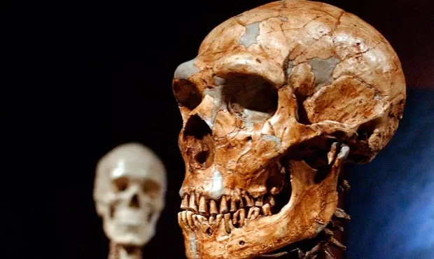 جمعیت انسان‌ها حدود ۹۰۰ هزار سال پیش تقریبا به نقطه «انقراض» رسیده بود