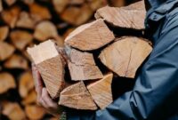 گردش مالی ۱۰۰ میلیارد تومانی تجارت چوب در گیلان
