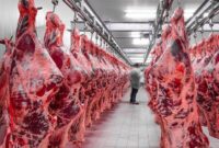 سود بازرگانی لاشه گوشت گوساله وارداتی صفر شد