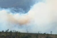 فیلم | آتش سوزی در ییلاقات ویزنه (ایو رنع) بر  اثر وزش باد شدید