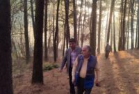 ۵۰ هکتار از اراضی جنگلی تالش دچار حریق شد