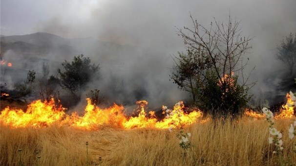 آتش سوزی در مرتع و علفزار‌های ۳ شهرستان گیلان