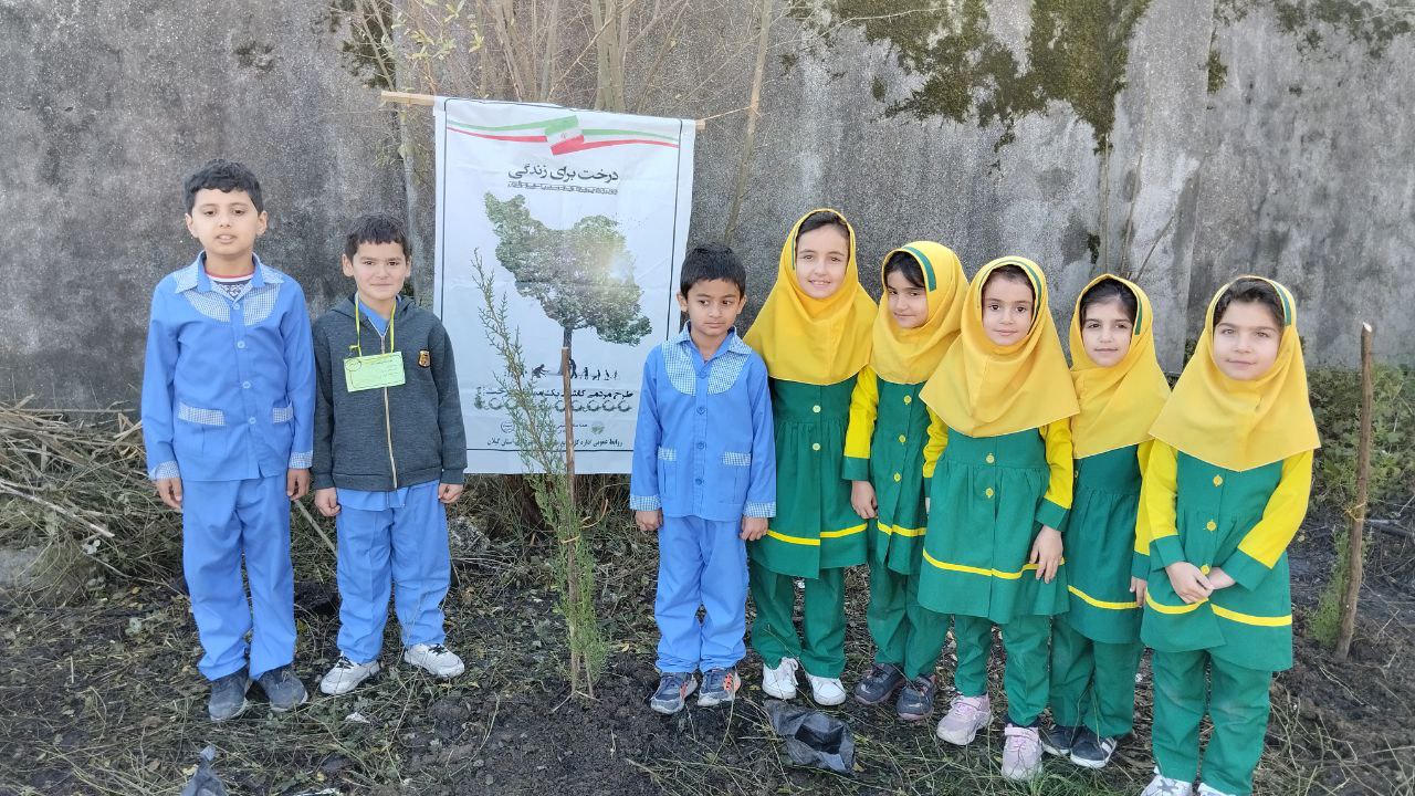 گزارش تصویری | اجرای طرح مردمی کاشت درخت در شهرستان  تالش