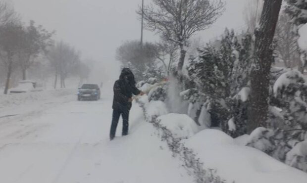آخرین وضعیت برف در گیلان: از انسداد جاده و افتادن درخت تا قطعی آب و برق