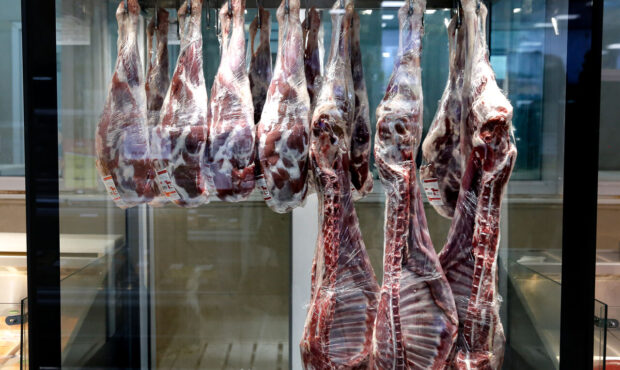 دام زنده و گوشت قرمز به میزان کافی در بازار موجود است/ قیمت گوشت منجمد بدون تغییر