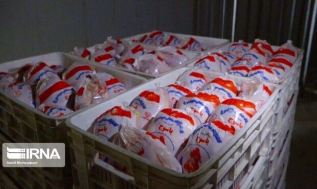 ۷۹ هزار و ۱۱۸ تن مرغ گرم در گیلان توزیع شد