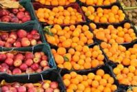 ذخیره سازی ۴۰۰ تنی سیب و پرتقال در گیلان/ عرضه خرما ارزان تر از بازار