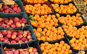 ذخیره سازی ۴۰۰ تنی سیب و پرتقال در گیلان/ عرضه خرما ارزان تر از بازار