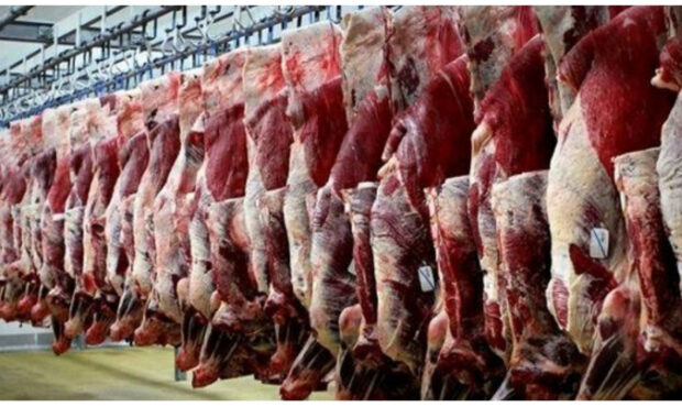 قیمت گوشت قرمز امروز ۲۰ دی ۱۴۰۲ اعلام شد.