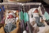 تولد همزمان دو پسر خاله در بیمارستان شهید نورانی تالش